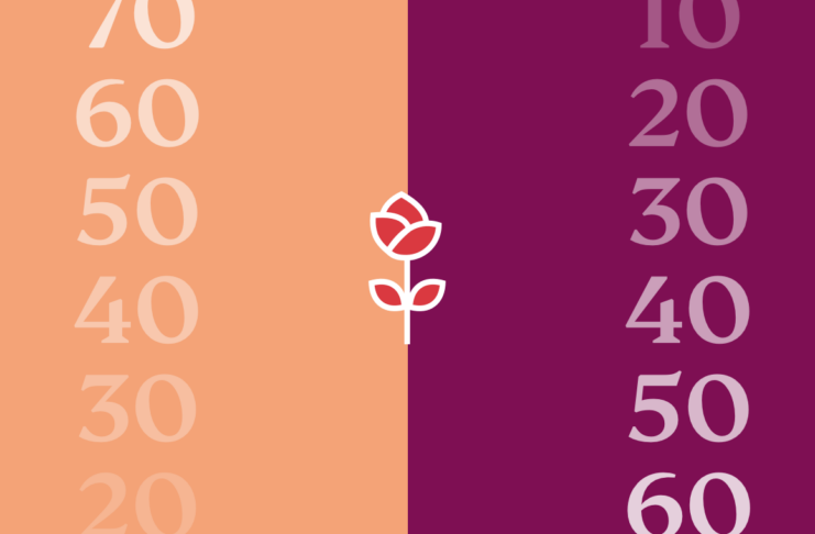 A rose and numbers.