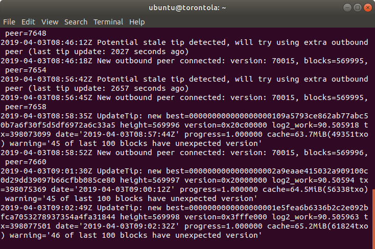 A screenshot of Terminal.