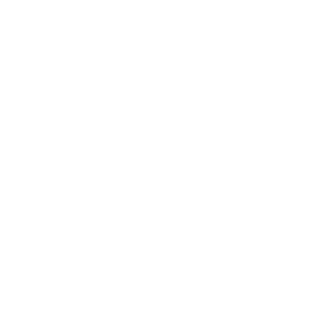 logo: Champion Logo Fond Noir