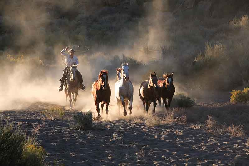 digital rights advocates roundup digital rights advocates roundup
