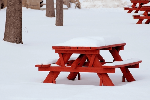 picnic-weather