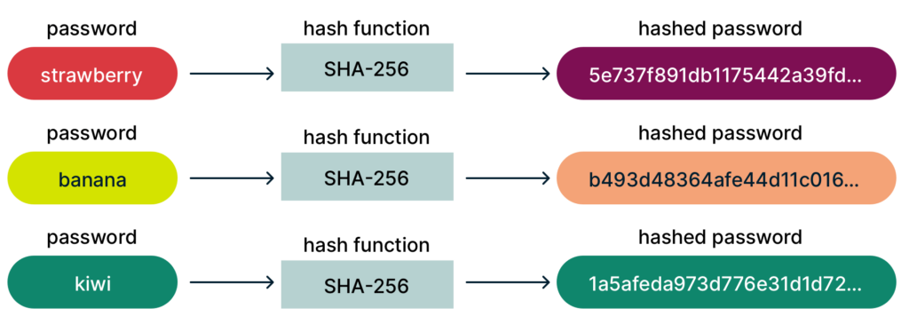 Password Hashing and Salting Explained | ExpressVPN Blog