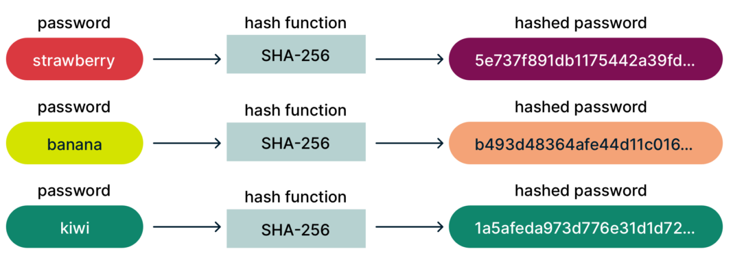 Password Hashing and Salting Explained | ExpressVPN Blog