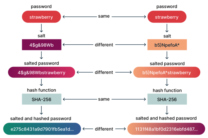 Password Hashing and Salting Explained | ExpressVPN Blog