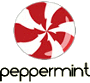 VPN for Peppermint OS