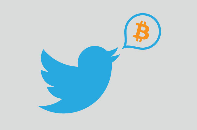 8 Women in Bitcoin You Should Follow on Twitter | ExpressVPN