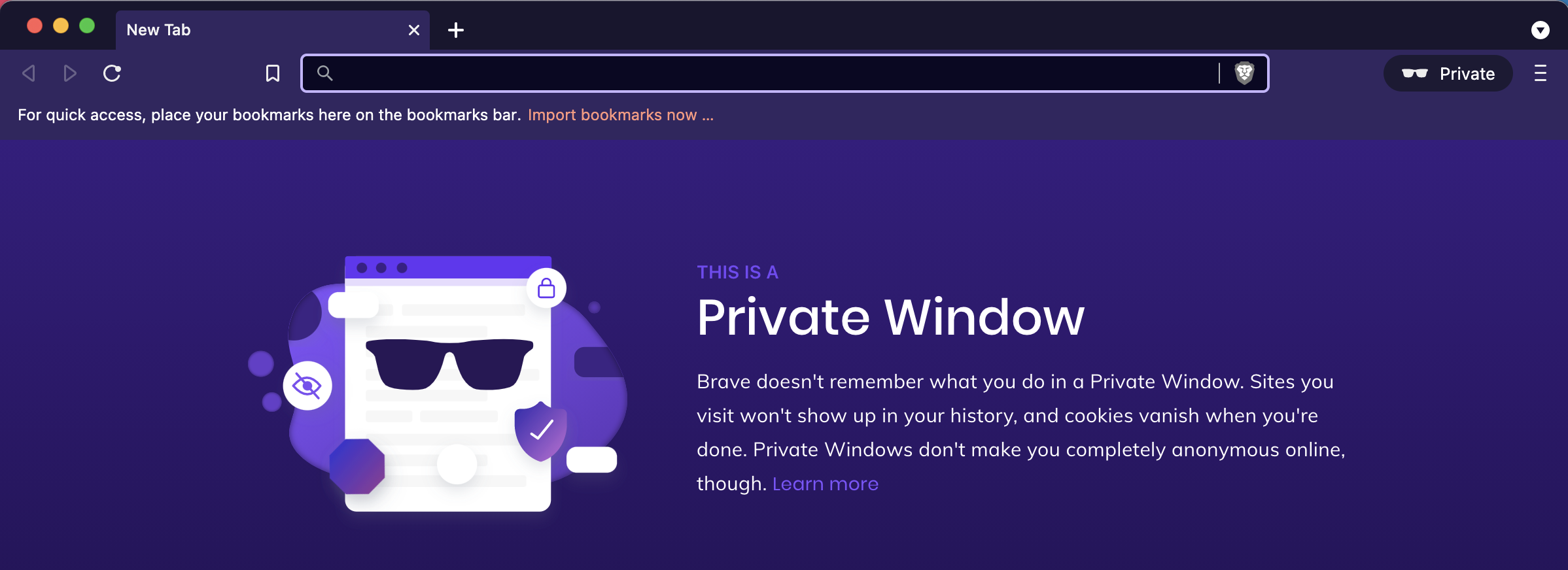 brave browser private mode