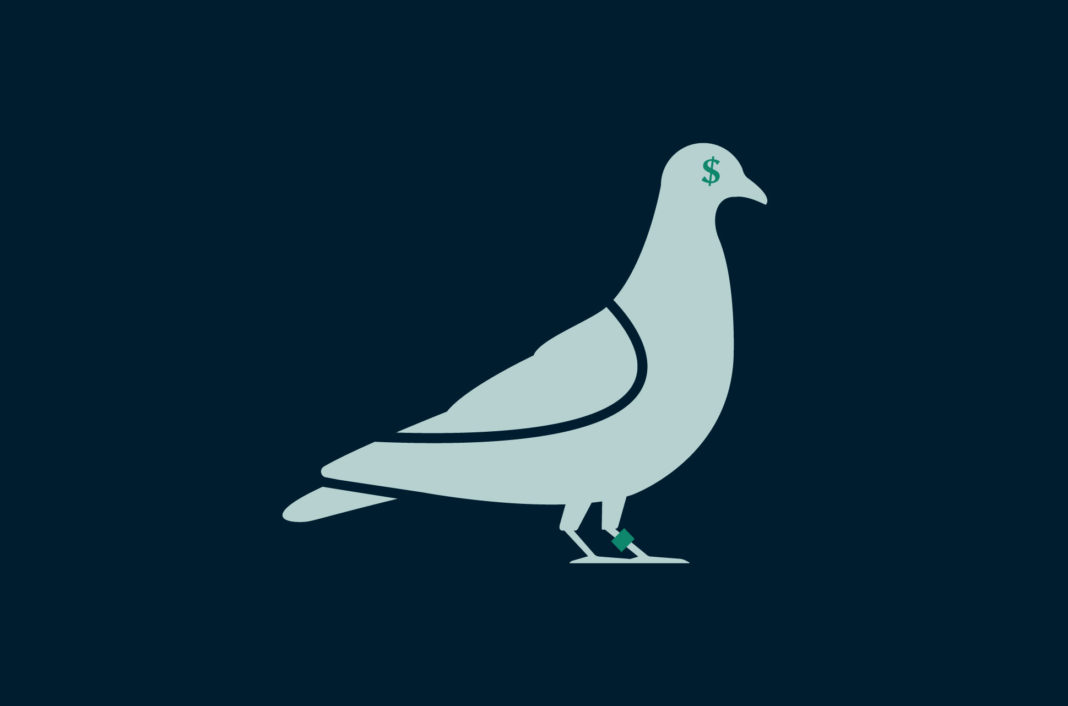 A pigeon with a dollar sign for an eye.