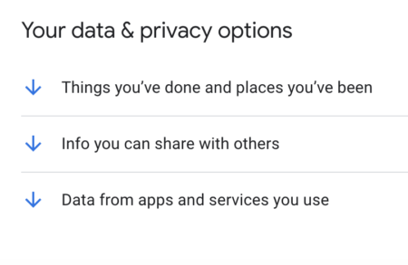 Google account data & privacy options.