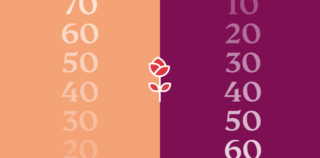 A rose and numbers.