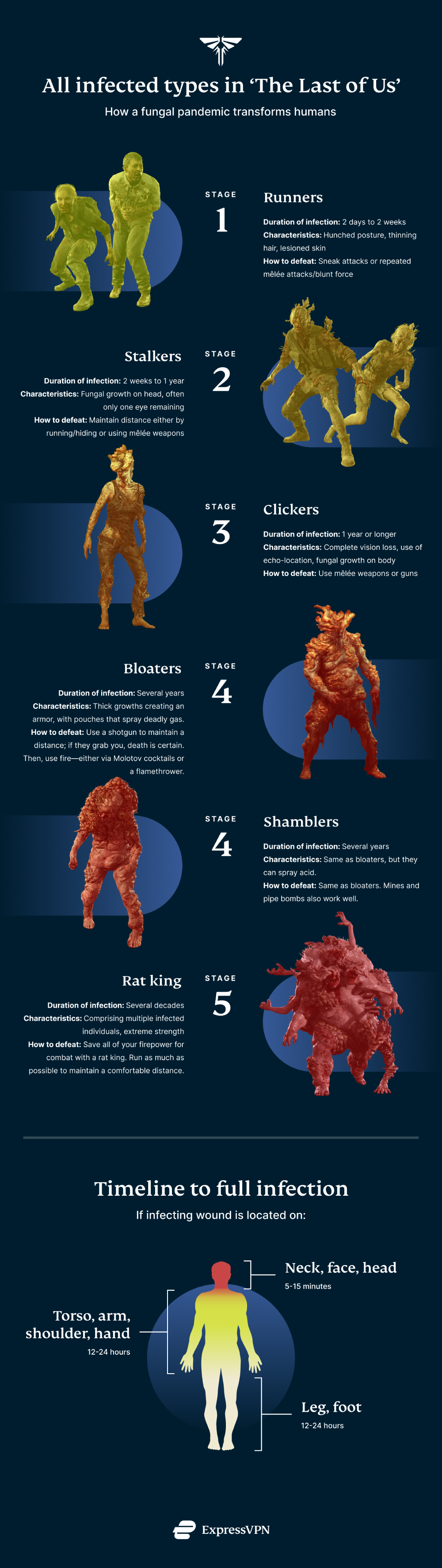 The Last Of Us Infected Infographic 