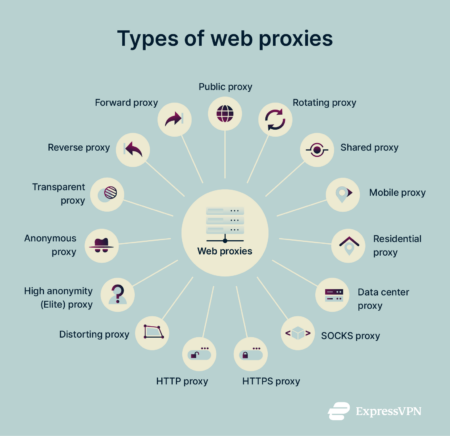  Image showing the different types of web proxy.