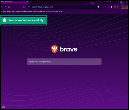A private window with Tor open in Brave browser, showing the Tor connected successfully message.